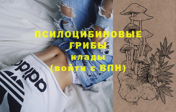 марихуана Новозыбков